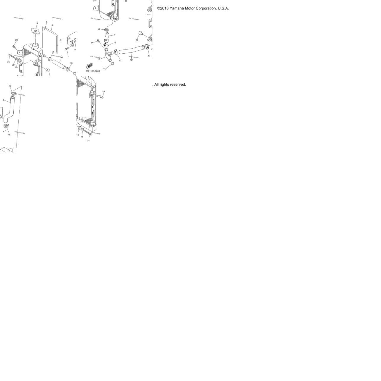 Radiator Hose