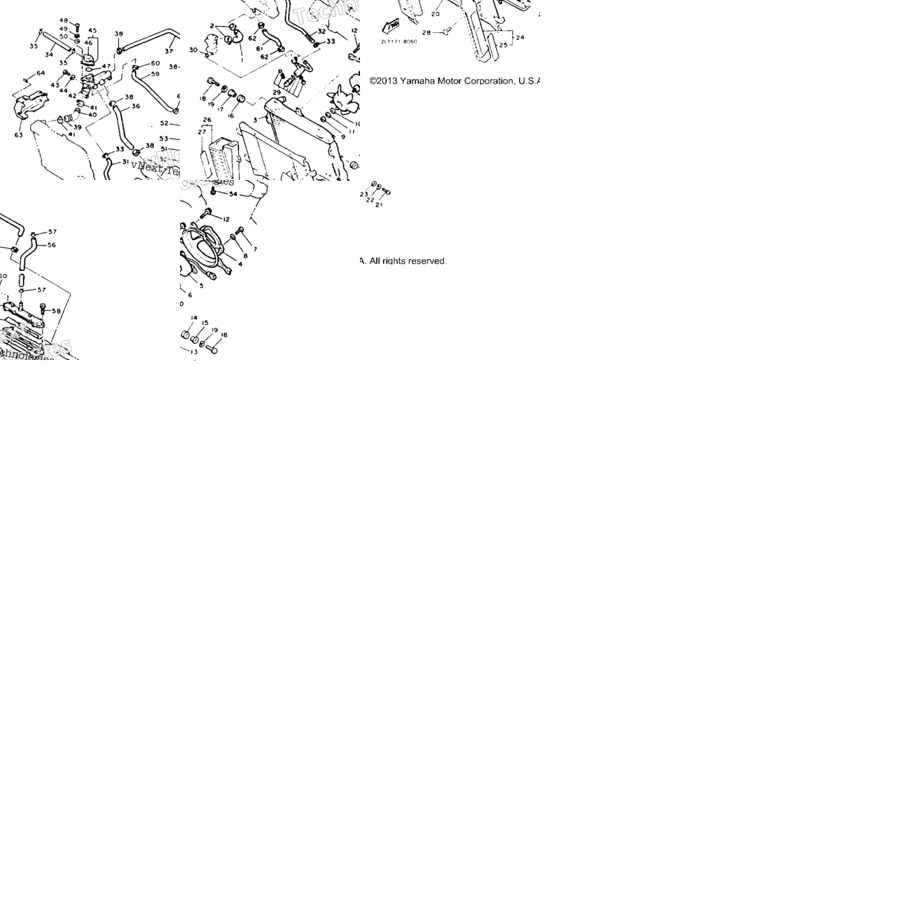 Radiator Hose