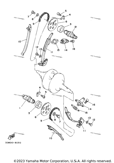 Camshaft Chain