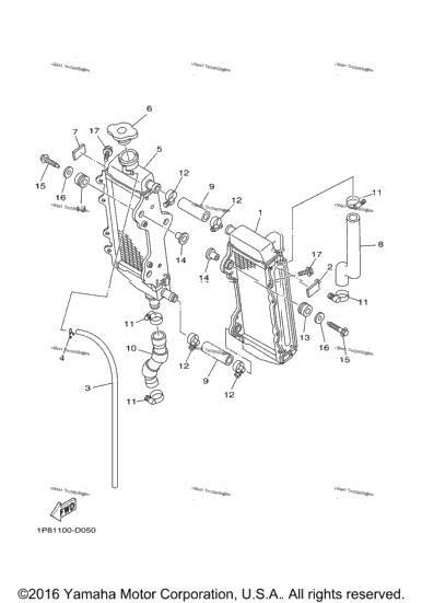 Radiator Hose