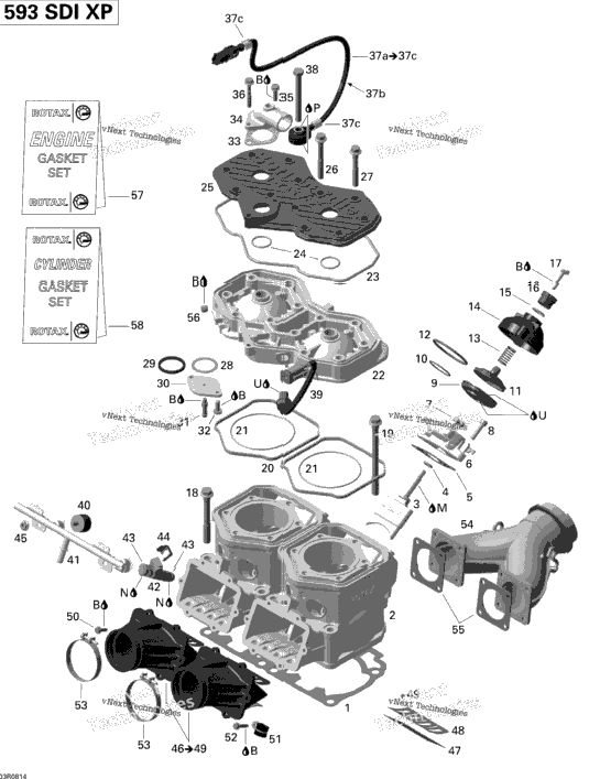 Cylinder And Cylinder Head