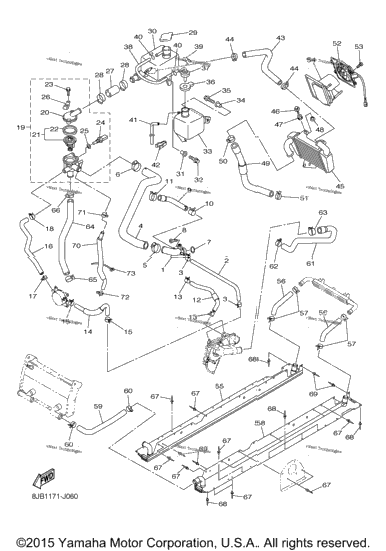 Radiator Hose