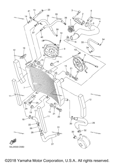 Radiator Hose