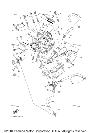 Cylinder Head
