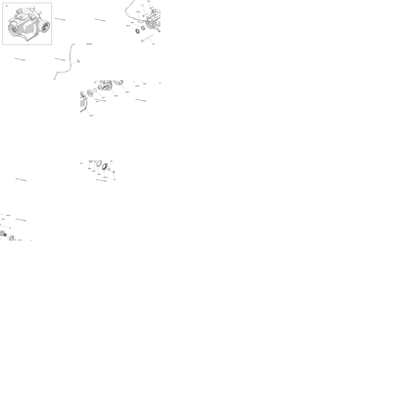 Drive - Front - Differential Parts