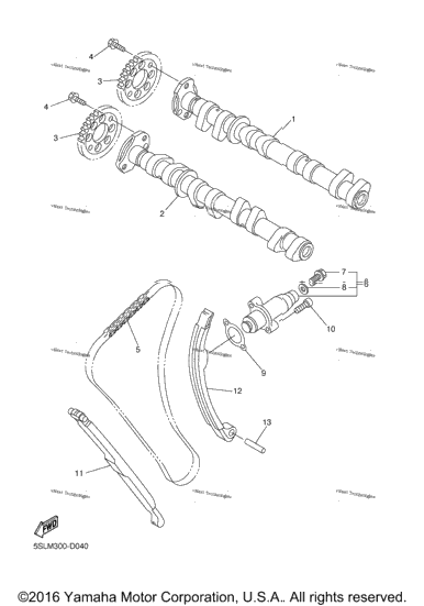 Camshaft Chain