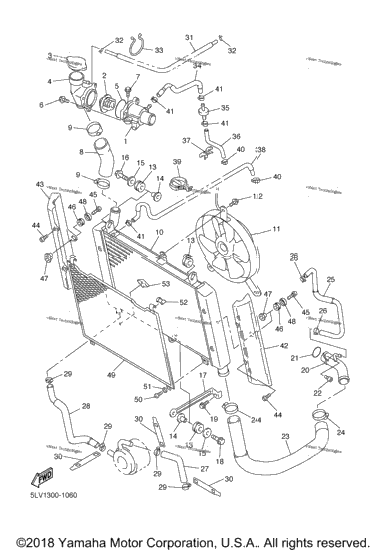 Radiator Hose