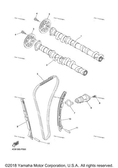 Camshaft Chain