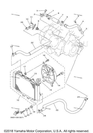 Radiator Hose