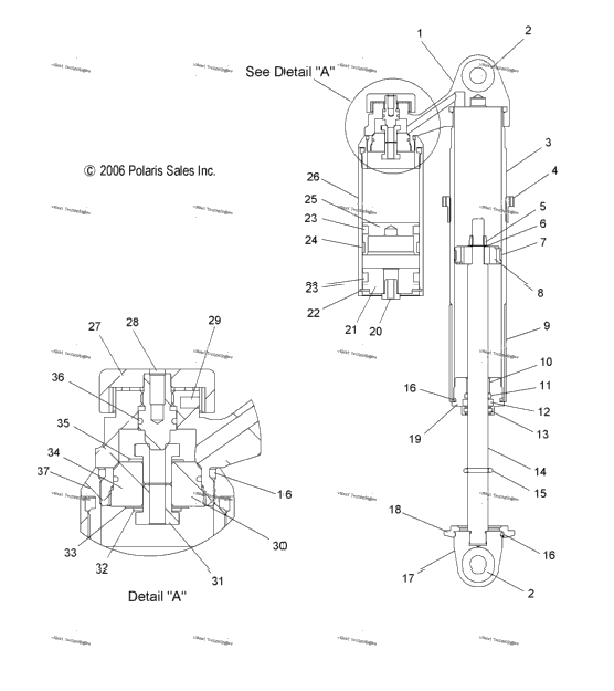 Shock, Ifs (49Snowshockifs7043310)