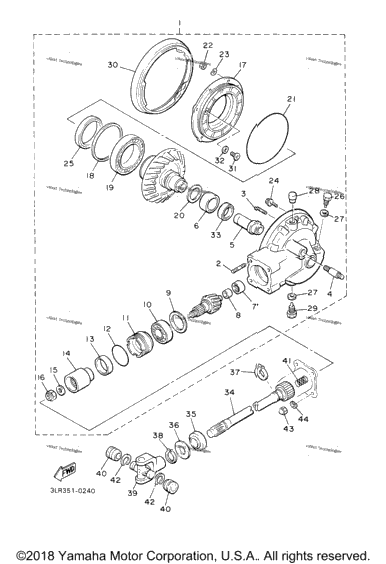 Drive Shaft