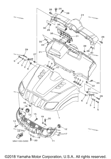 Front Fender