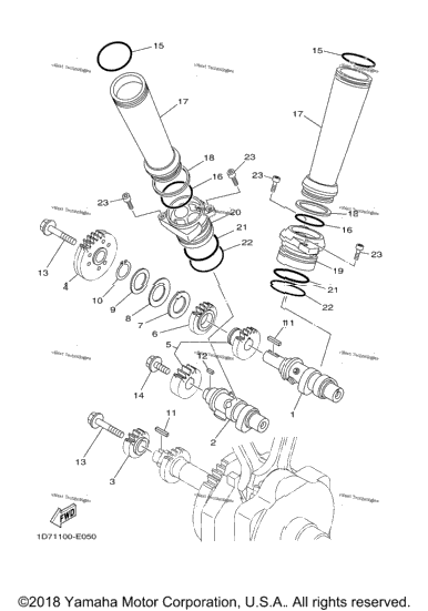 Camshaft Chain