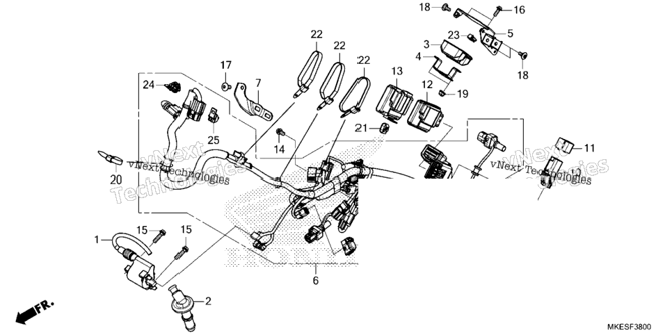 Wire Harness