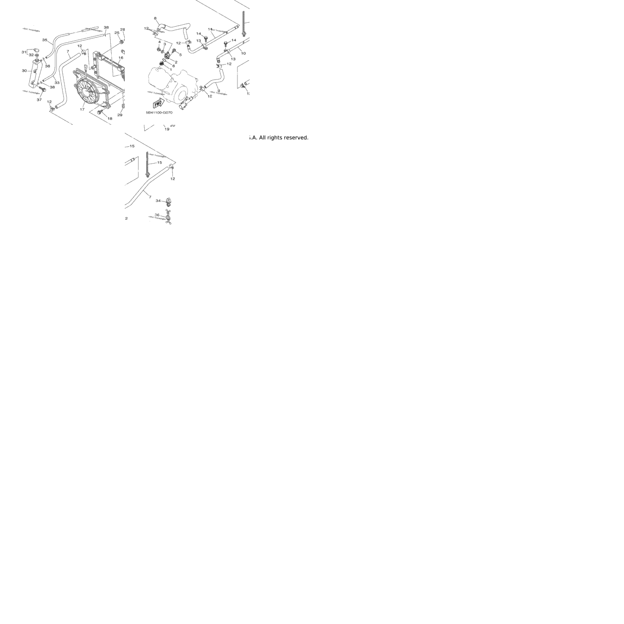 Radiator Hose
