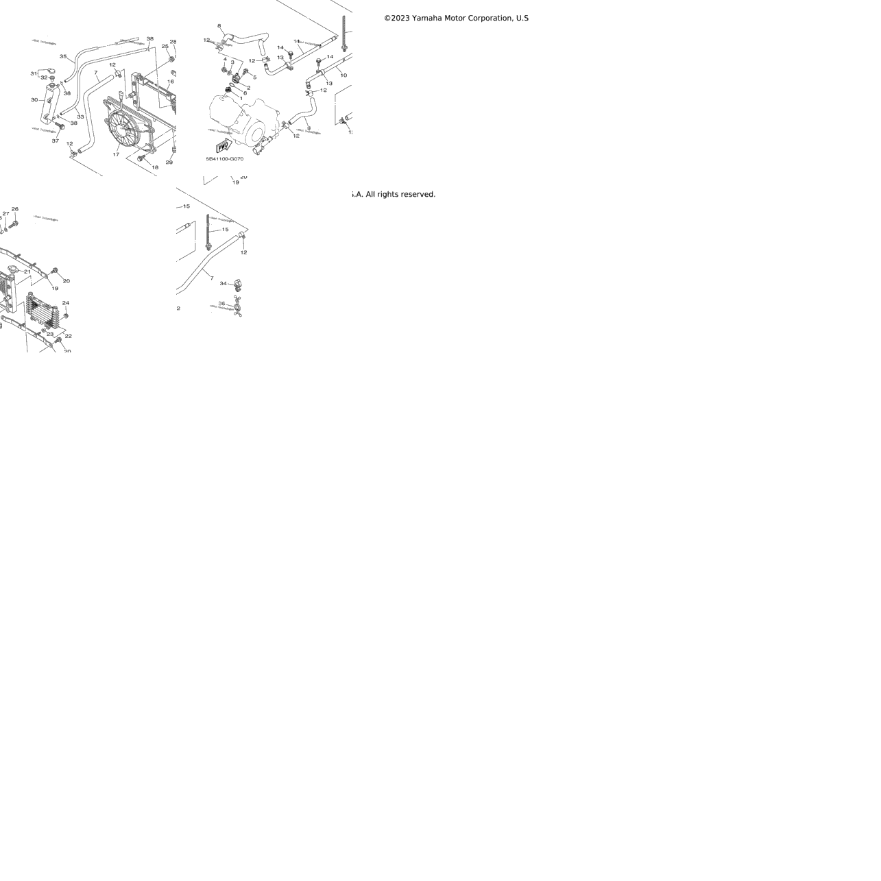 Radiator Hose