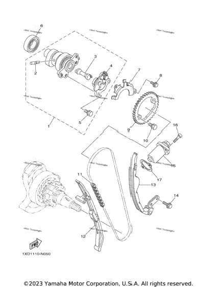 Camshaft & Chain