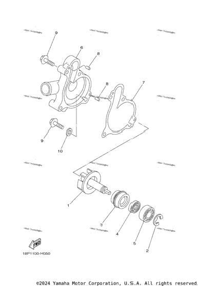 Water Pump