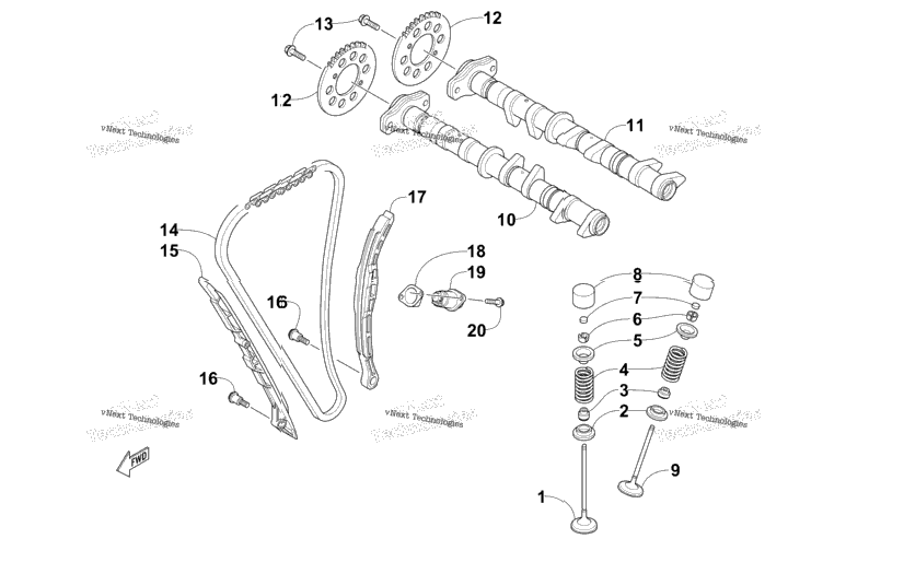 Camshaft, Chain, And Valve Assembly