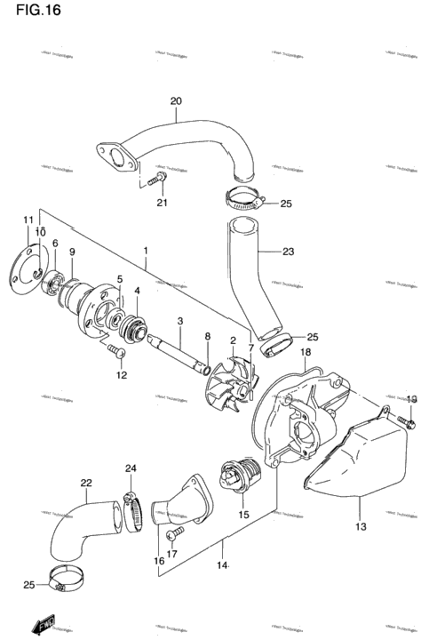 Water Pump