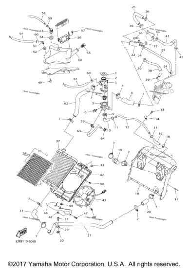 Radiator Hose