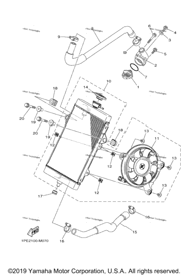 Radiator Hose