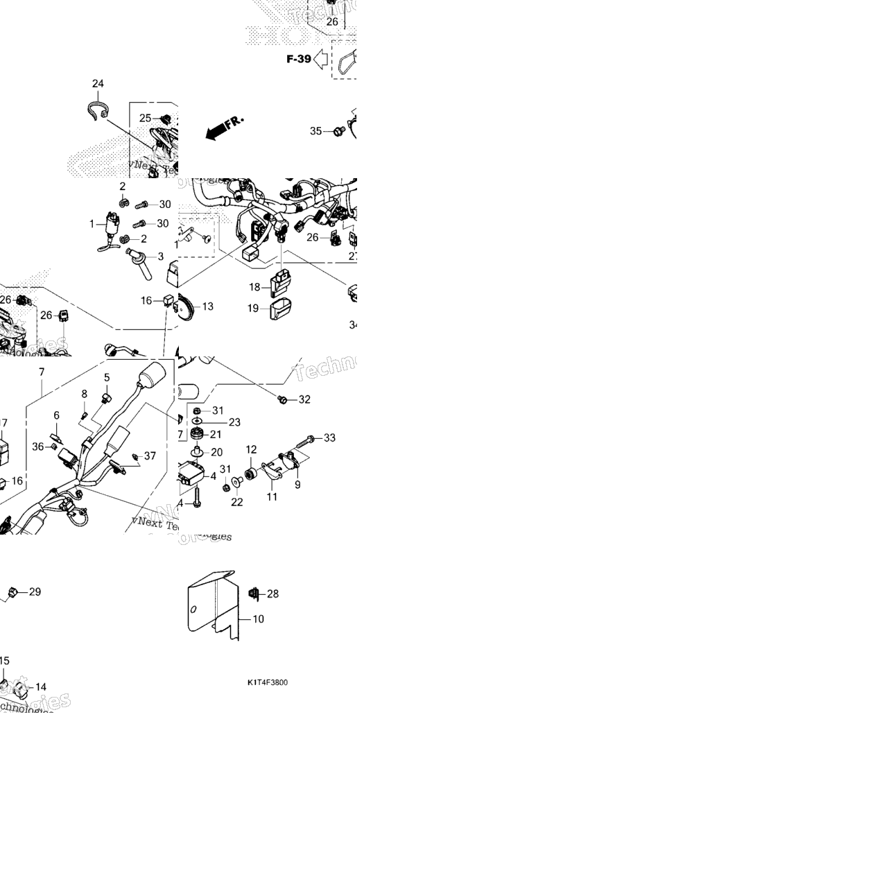 Wire Harness (1)