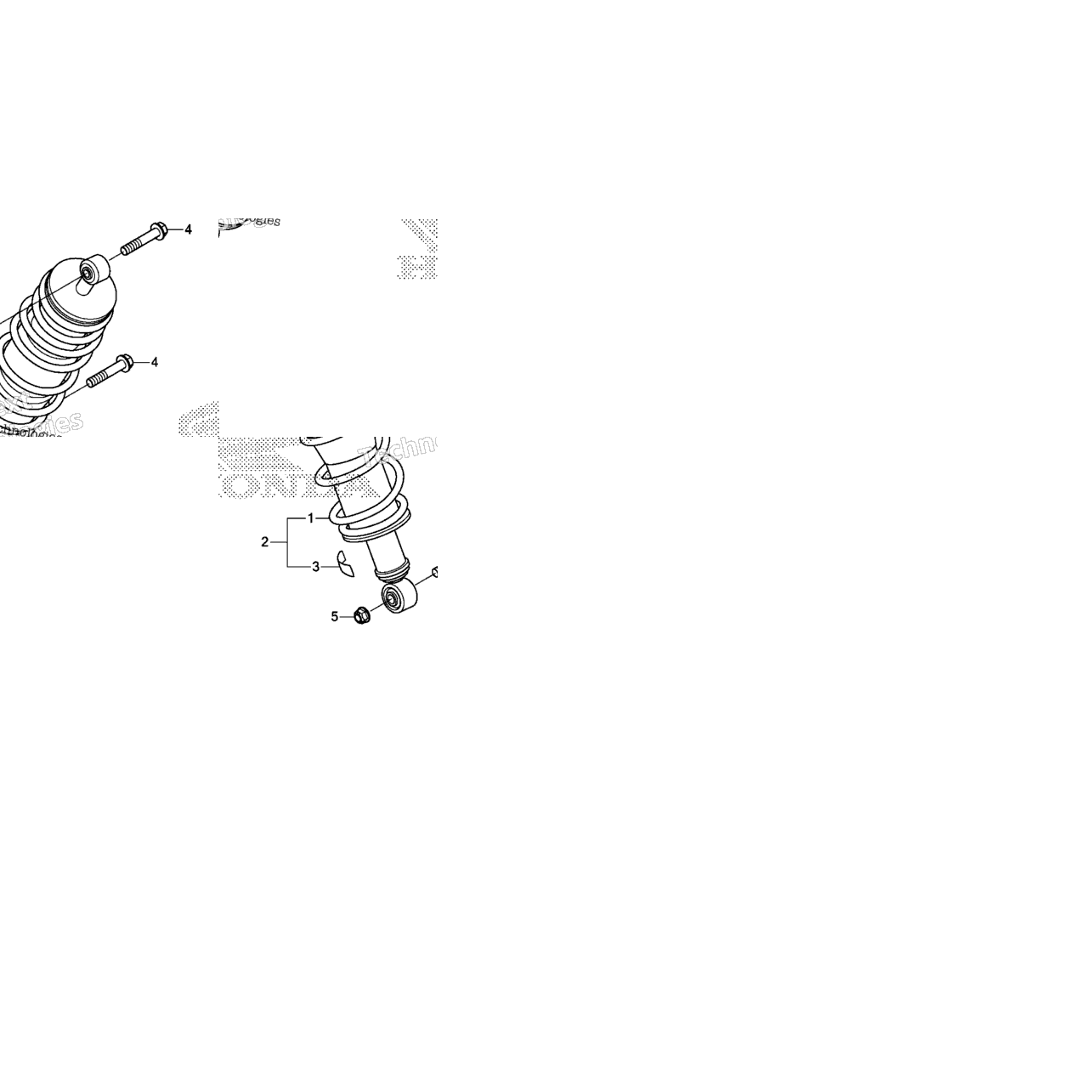 Rear Shock Absorber (1)