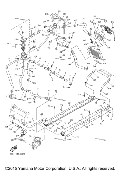 Radiator Hose