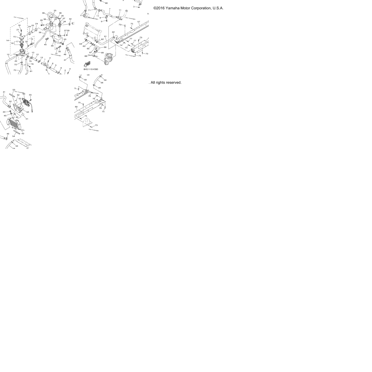 Radiator Hose