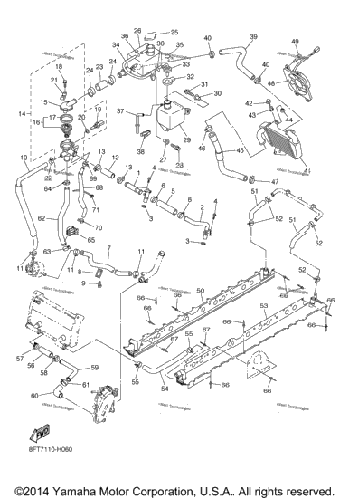 Radiator Hose