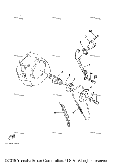 Camshaft Chain
