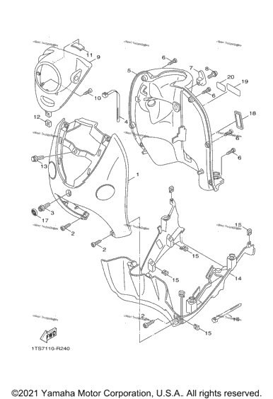 Leg Shield