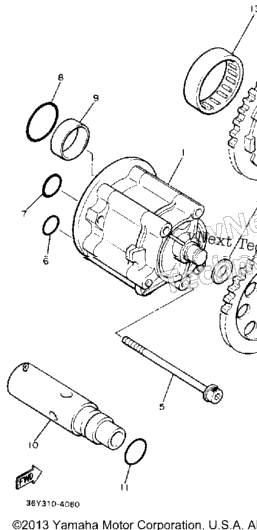 Oil Pump