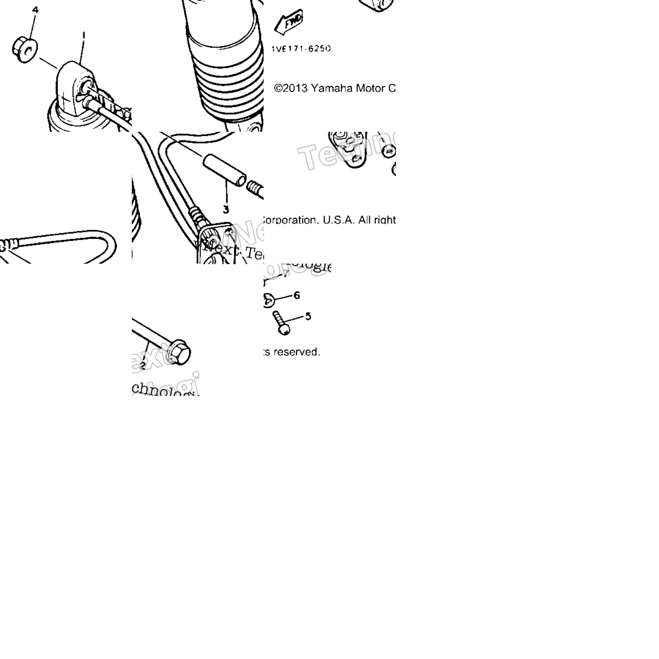 Rear Shocks