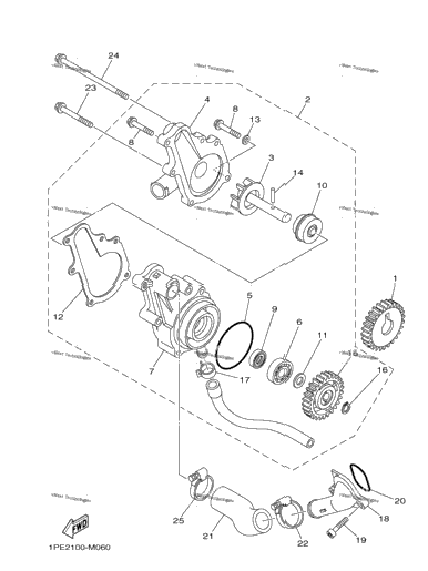 Water Pump