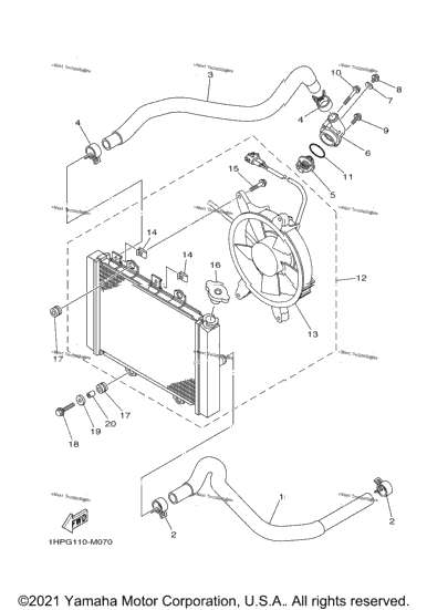 Radiator & Hose