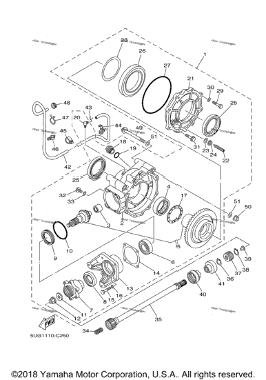 Drive Shaft