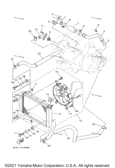 Radiator & Hose