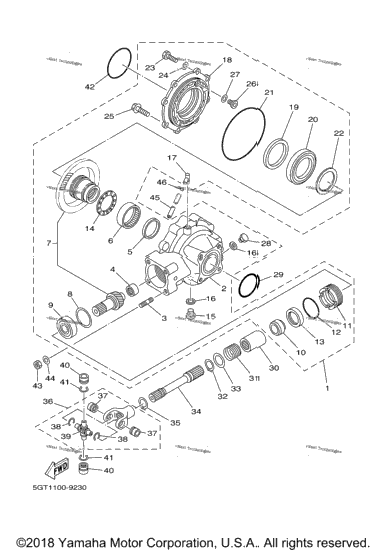 Drive Shaft