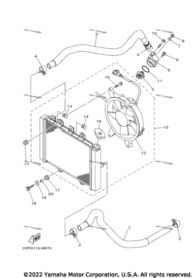 Radiator Hose