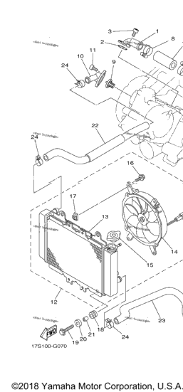 Radiator Hose
