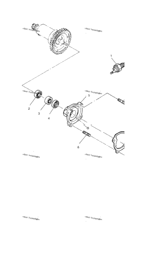 Water Pump