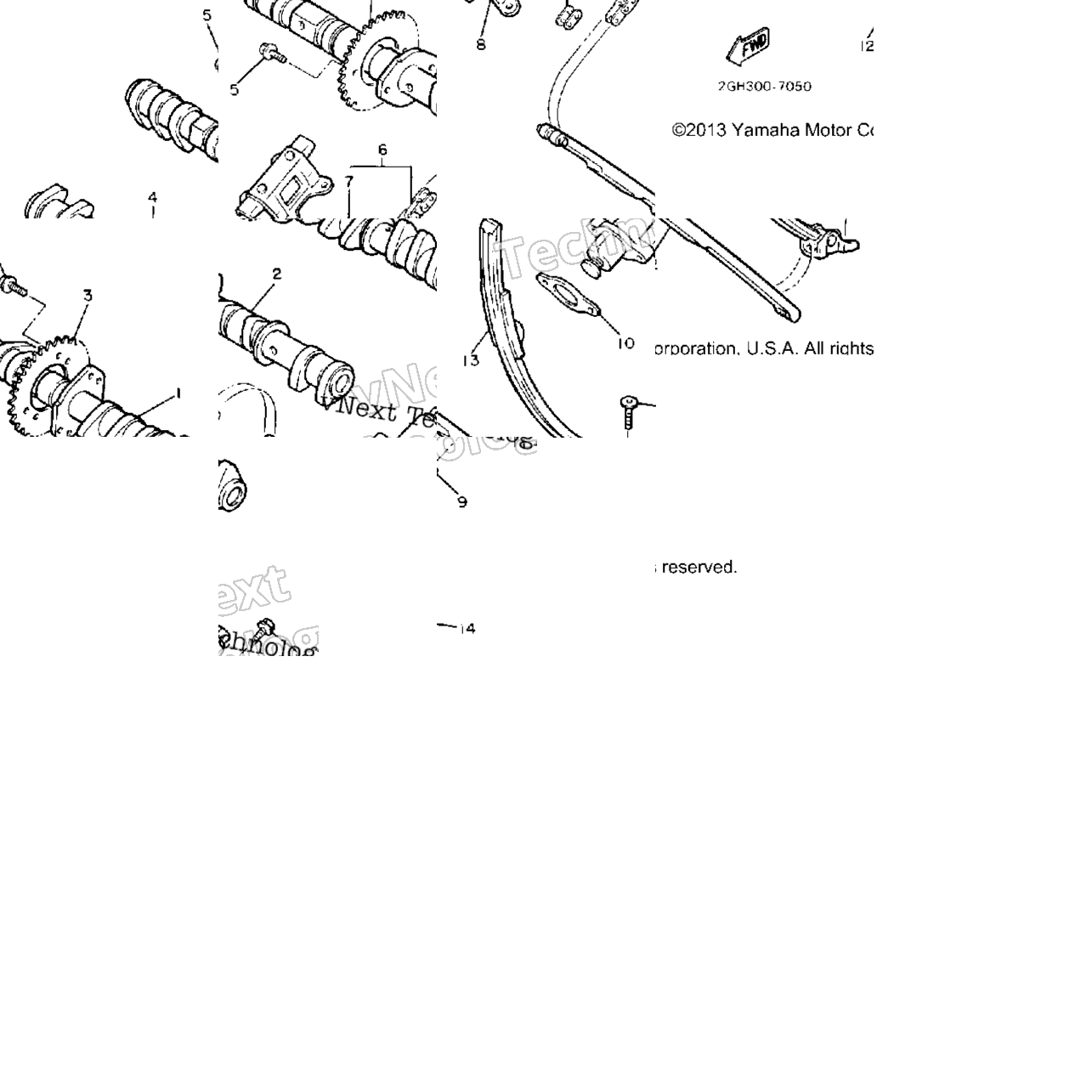 Camshaft Chain