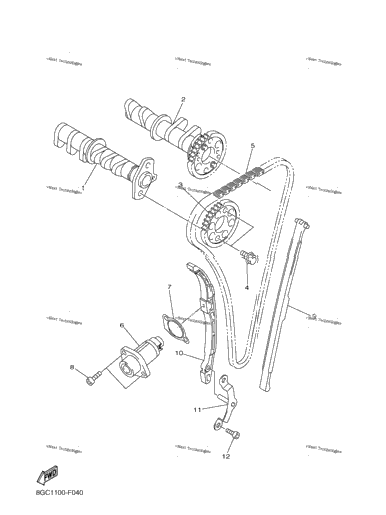 Camshaft Chain