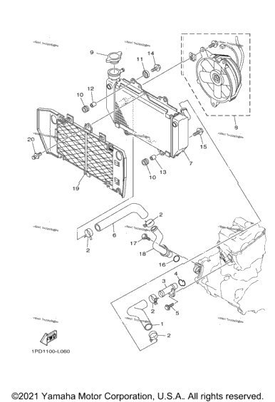 Radiator Hose