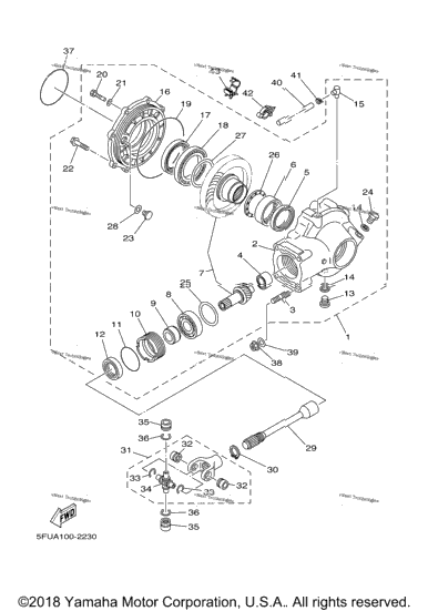 Drive Shaft