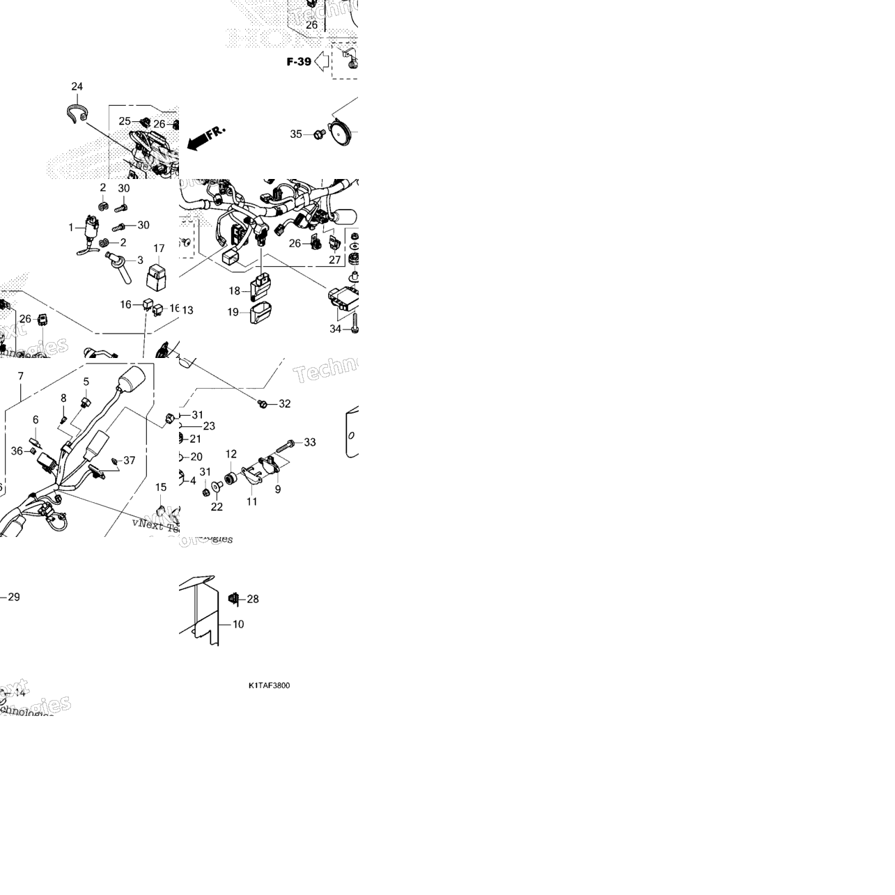 Wire Harness (1)