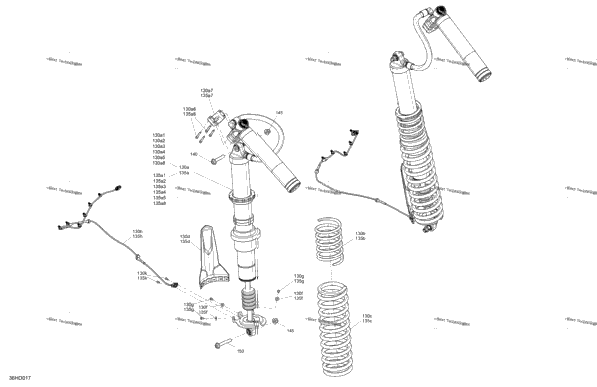 Suspension - Rear Shocks