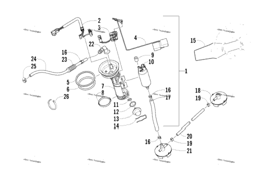 Fuel Pump Assembly